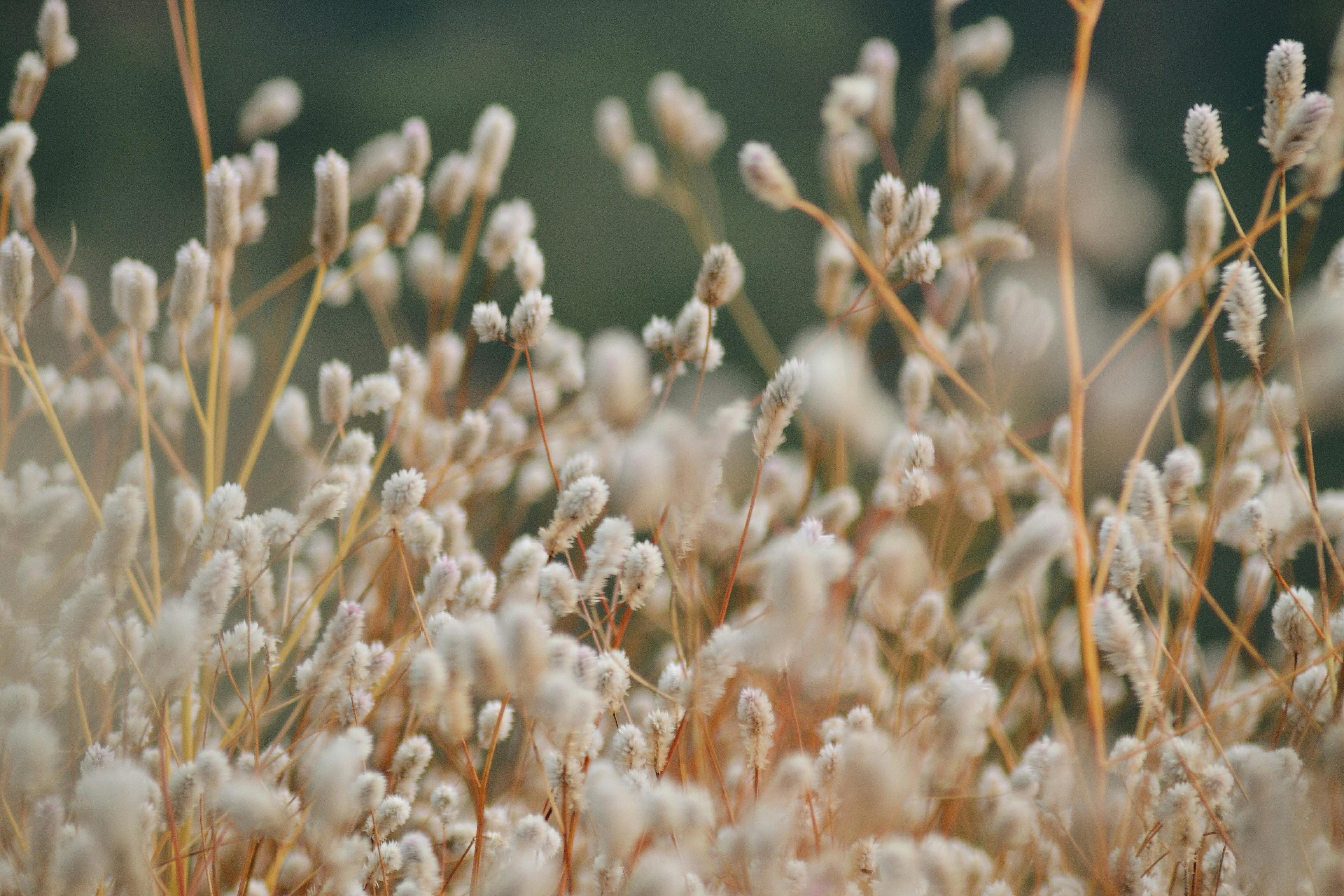 SHIFT Healing Center — About us